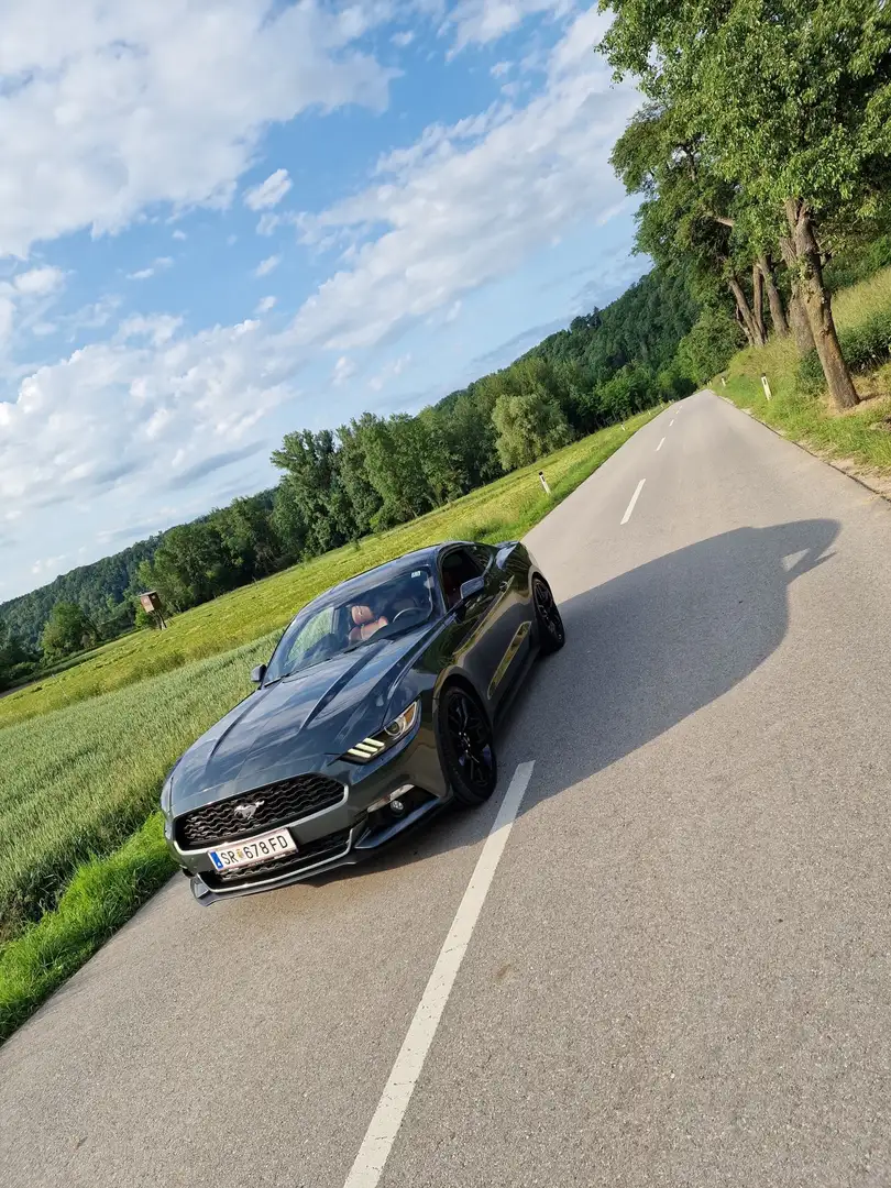 Ford Mustang 2,3 EcoBoost - 1