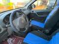 Fiat Panda 1.2 Active NEOPATENTATI! VISTA E PIACIUTA! Bianco - thumbnail 10