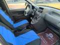 Fiat Panda 1.2 Active NEOPATENTATI! VISTA E PIACIUTA! Wit - thumbnail 16