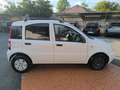 Fiat Panda 1.2 Active NEOPATENTATI! VISTA E PIACIUTA! Bianco - thumbnail 6