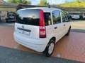 Fiat Panda 1.2 Active NEOPATENTATI! VISTA E PIACIUTA! Bianco - thumbnail 5