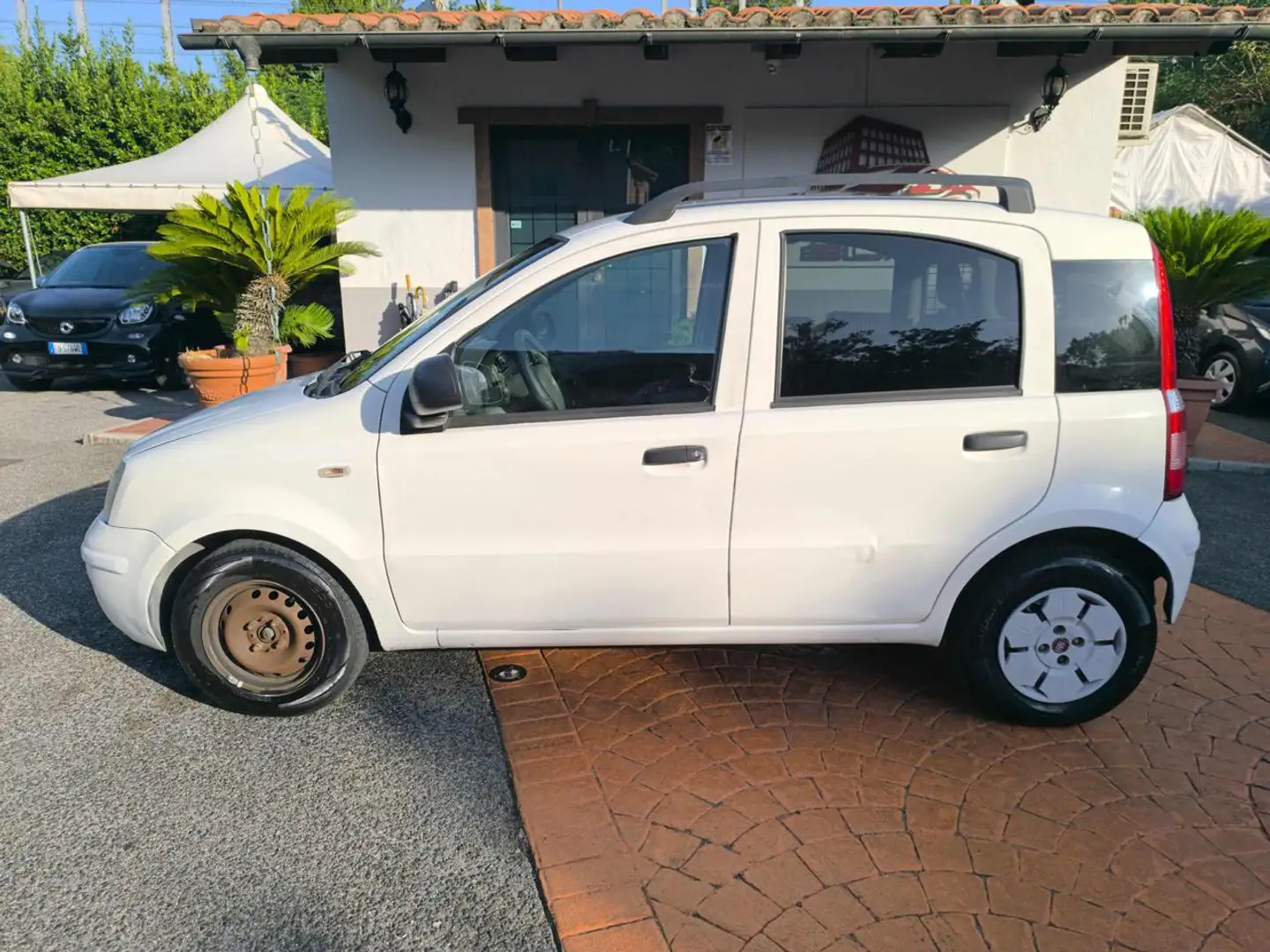 Fiat Panda 1.2 Active NEOPATENTATI! VISTA E PIACIUTA! Bianco - 2
