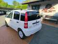 Fiat Panda 1.2 Active NEOPATENTATI! VISTA E PIACIUTA! Bianco - thumbnail 3