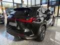 Lexus NX 350h Executive Line LED, Pano, HUD, Kamera, BT Schwarz - thumbnail 4