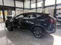 Lexus NX 350h Executive Line LED, Pano, HUD, Kamera, BT Schwarz - thumbnail 16