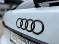 Audi A6 Avant 55 TFSI e PHEV quattro 3x S-line S-tronic Weiß - thumbnail 21