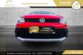 Volkswagen Polo Cross Country 1,6 TDI // 1.BESITZ // PICKERL BIS 09/2... Rot - thumbnail 19