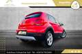 Volkswagen Polo Cross Country 1,6 TDI // 1.BESITZ // PICKERL BIS 09/2... Rot - thumbnail 13