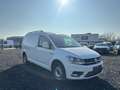 Volkswagen Caddy Maxi 4Motion  2.0 TDI  Navi 1Hand Weiß - thumbnail 7