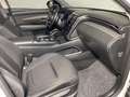 Hyundai TUCSON 1.6 T-GDI 150 MILD HYBRID BVA GPS CARPLAY Blanc - thumbnail 12