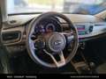 Kia Rio /NEON/1.2 DPI/MT5/84/P Grau - thumbnail 18