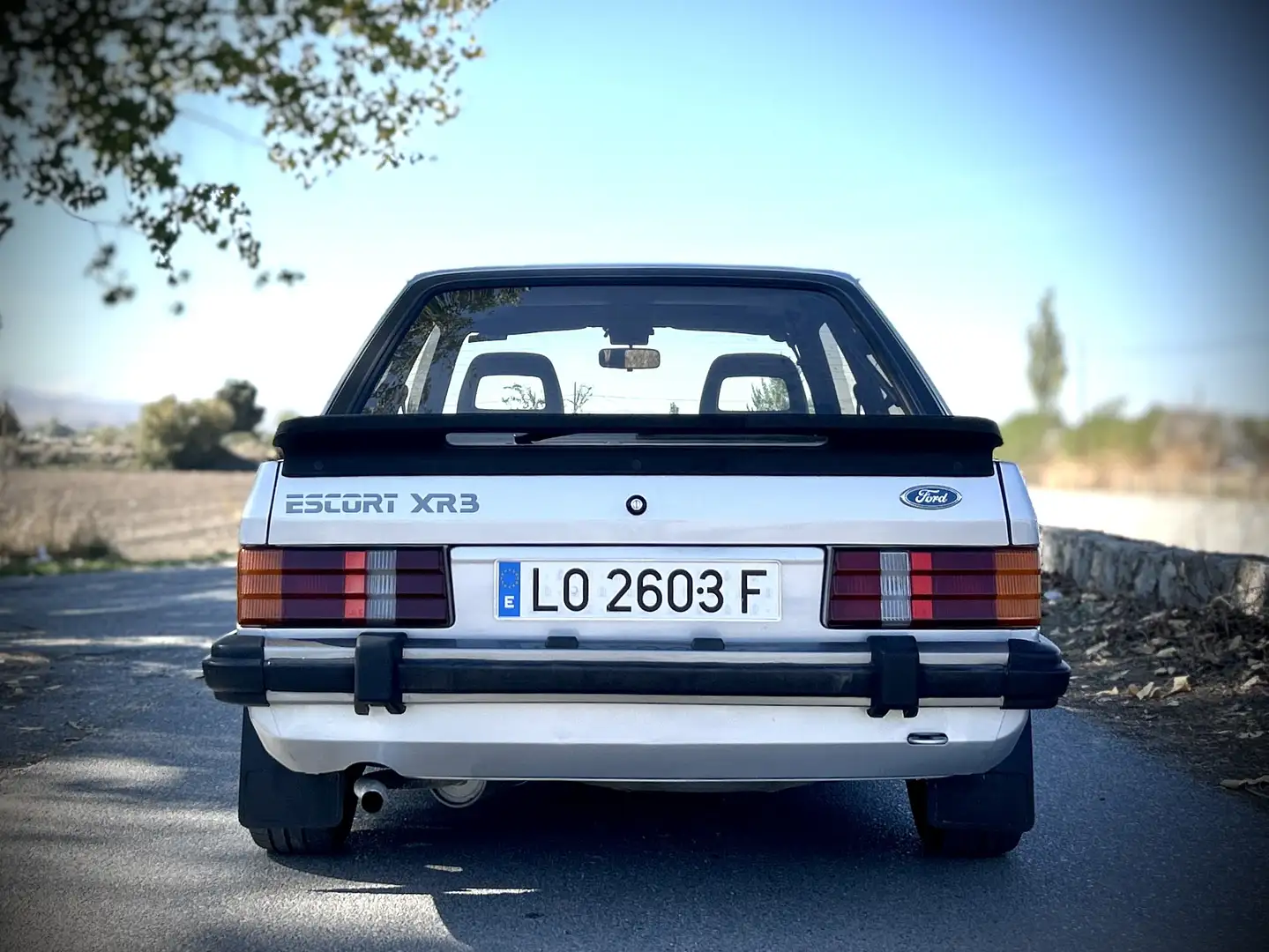 Ford Escort XR3 Gris - 2