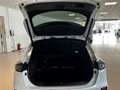 Kia XCeed Xceed 1,6 TGDI GPF GT-Line DCT Weiß - thumbnail 16