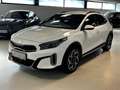 Kia XCeed Xceed 1,6 TGDI GPF GT-Line DCT Weiß - thumbnail 3