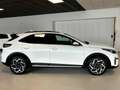 Kia XCeed Xceed 1,6 TGDI GPF GT-Line DCT Weiß - thumbnail 8