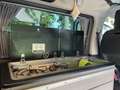 Citroen Spacetourer Pössl Campster Weiß - thumbnail 6