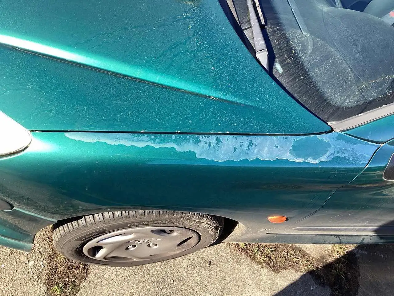 Peugeot 206 XS Sportsitze, foto 4