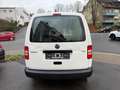 Volkswagen Caddy Kasten/Kombi Maxi Kasten Weiß - thumbnail 6