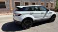 Land Rover Range Rover Evoque 2.2L TD4 Prestige 4x4 Blanco - thumbnail 5