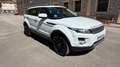 Land Rover Range Rover Evoque 2.2L TD4 Prestige 4x4 Blanco - thumbnail 6