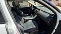 Land Rover Range Rover Evoque 2.2L TD4 Prestige 4x4 Blanco - thumbnail 11