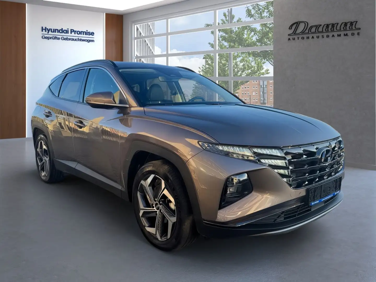 Hyundai TUCSON Prime 1.6B 260PS PHEV 4WD Beige - 2