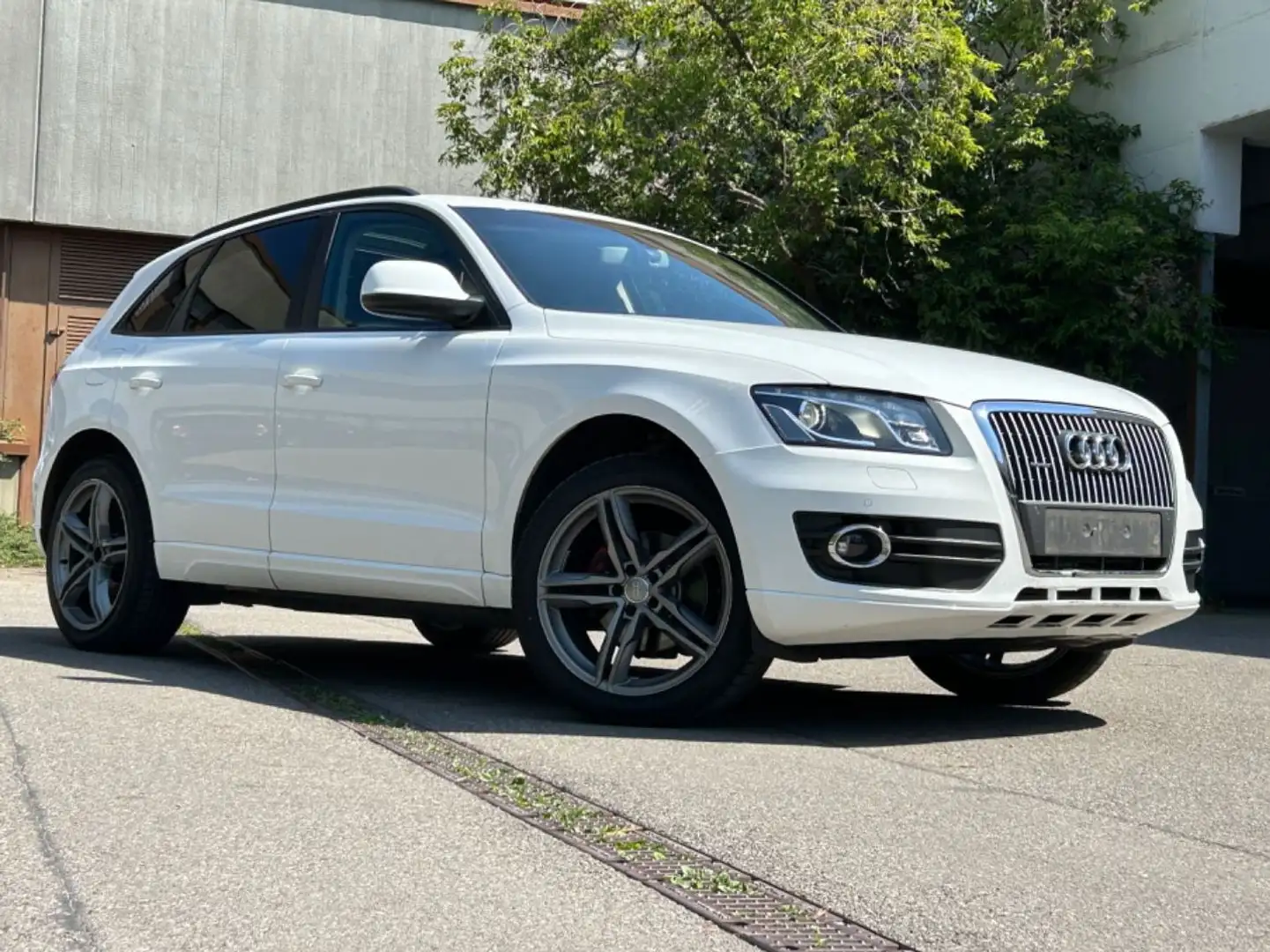Audi Q5 2.0 TDI quattro S-Tronic S-Line Wit - 1