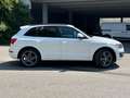 Audi Q5 2.0 TDI quattro S-Tronic S-Line Wit - thumbnail 3