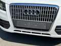 Audi Q5 2.0 TDI quattro S-Tronic S-Line Wit - thumbnail 13
