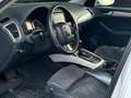 Audi Q5 2.0 TDI quattro S-Tronic S-Line Wit - thumbnail 20