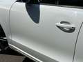 Audi Q5 2.0 TDI quattro S-Tronic S-Line Wit - thumbnail 9