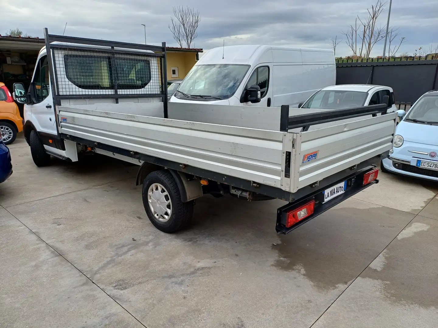 Ford Transit CASSONE FISSO Bianco - 1