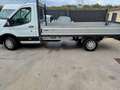 Ford Transit CASSONE FISSO Bianco - thumbnail 4