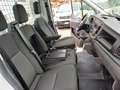Ford Transit CASSONE FISSO Bianco - thumbnail 10