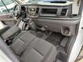 Ford Transit CASSONE FISSO Bianco - thumbnail 13