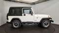 Jeep Wrangler Blanc - thumbnail 14