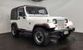 Jeep Wrangler Blanc - thumbnail 5