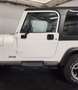 Jeep Wrangler Blanc - thumbnail 9