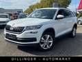 Skoda Kodiaq 2.0 TDI DSG Ambition AHK Leder Navi Temp. Blanc - thumbnail 7