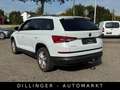 Skoda Kodiaq 2.0 TDI DSG Ambition AHK Leder Navi Temp. Blanc - thumbnail 13