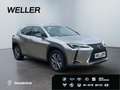 Lexus UX 300e *Bi-LED*Leder*SHZv+h*PDC v+h*Kamera*ACC*LMF* Argent - thumbnail 4