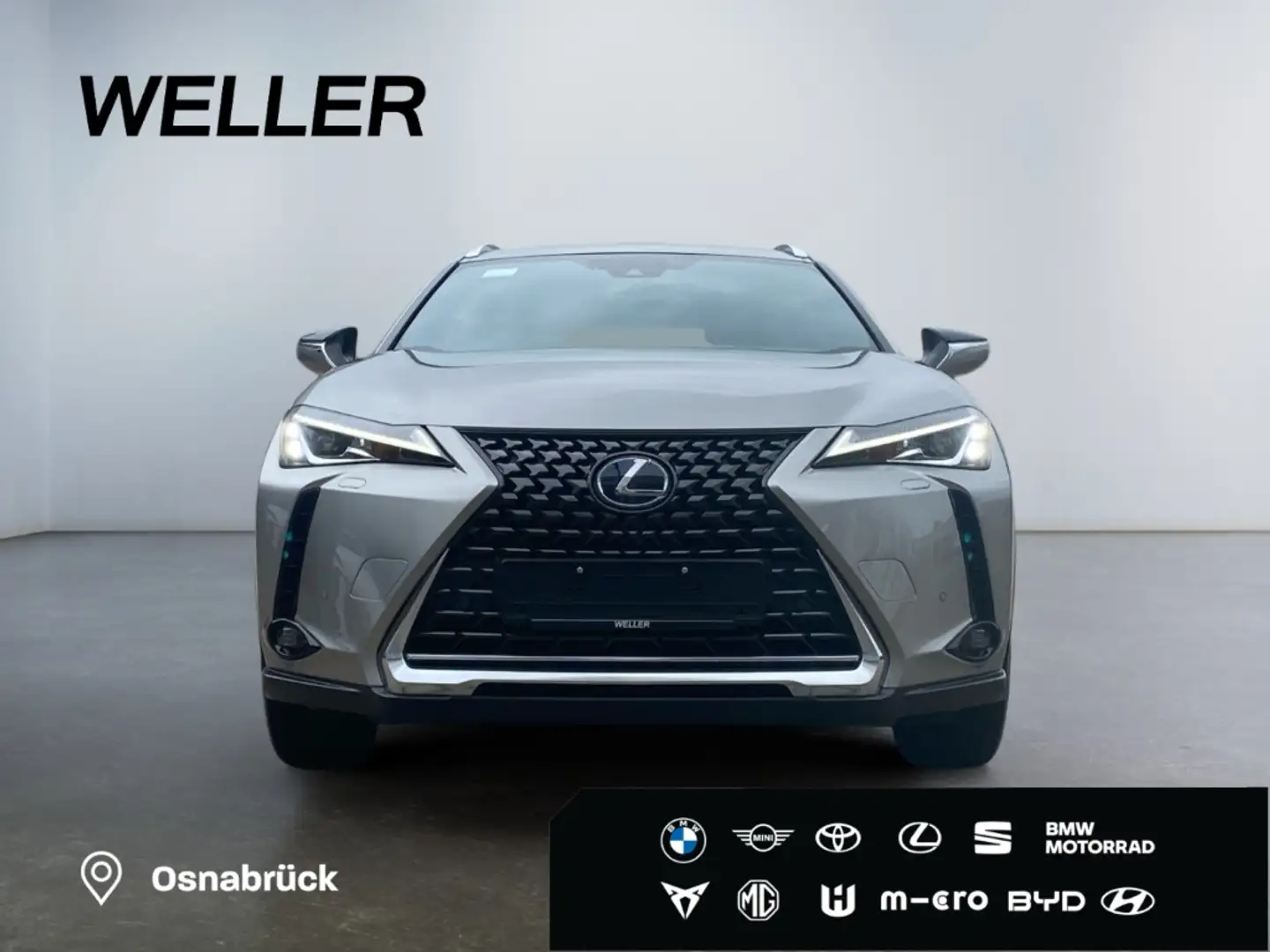 Lexus UX 300e *Bi-LED*Leder*4x SHZ*el Sitze*Kamera*ACC* Silber - 2