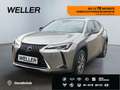 Lexus UX 300e *Bi-LED*Leder*SHZv+h*PDC v+h*Kamera*ACC*LMF* Argent - thumbnail 1