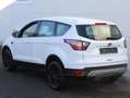 Ford Kuga Trend 1.5L Winter-P. SYNC Kamera 17" LMF Bianco - thumbnail 8