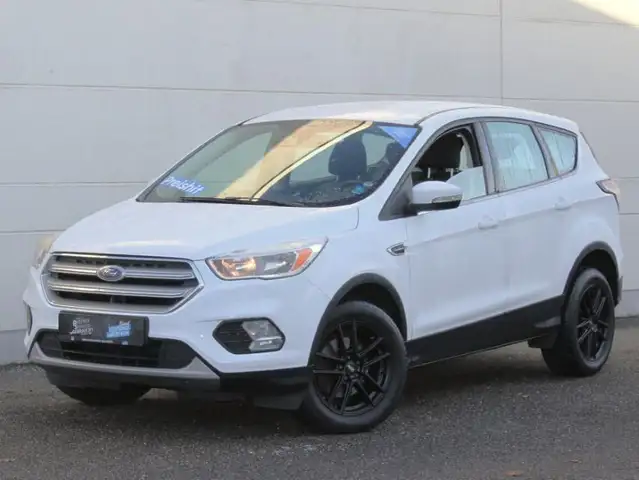 Ford Kuga Trend 1.5L Winter-P. SYNC Kamera 17" LMF
