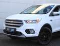 Ford Kuga Trend 1.5L Winter-P. SYNC Kamera 17" LMF Bianco - thumbnail 5