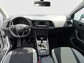 SEAT Ateca ME 1.0 TSI Weiß - thumbnail 10