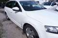Skoda Octavia Combi Elegance 4x4 Wit - thumbnail 4