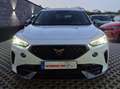CUPRA Formentor VZ *PANORAMA*MEMORY+ELK.SITZE*ACC*KAMERA*SOUND*SHZ Blanc - thumbnail 5