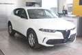 Alfa Romeo Tonale 1.6 diesel 130 CV TCT6 Sprint Wit - thumbnail 1